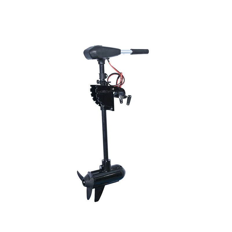 Fishing - Motor Marino Sin Escobillas de 48V,