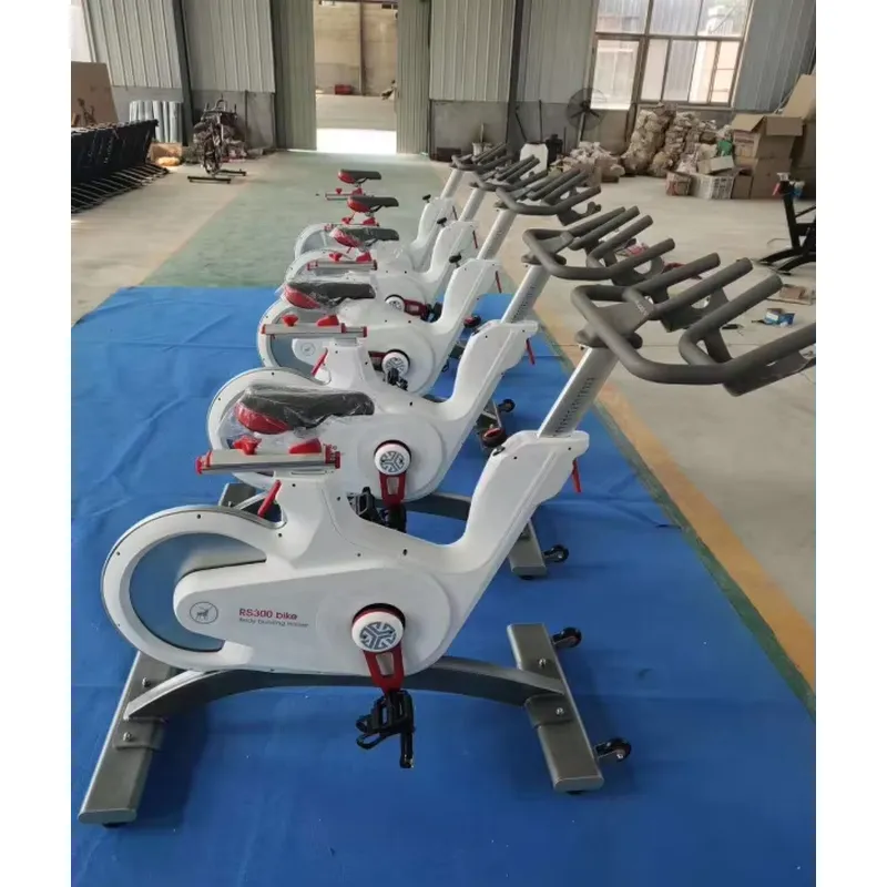 Bicicleta de Spinning Profesio - Exercise Bike Magnetic Resistance reseña y precio