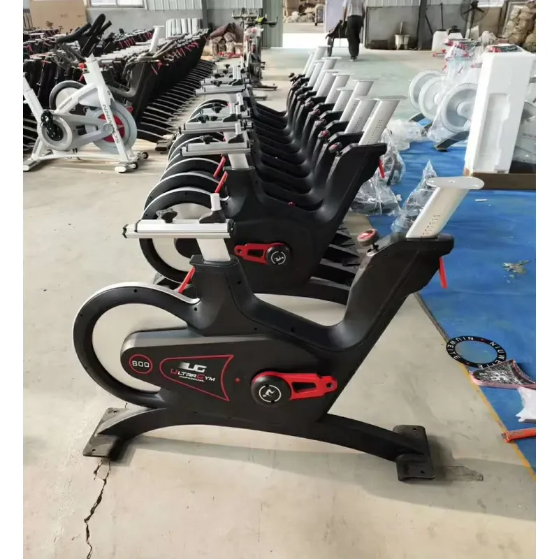 Bicicleta de Spinning Profesio - Exercise Bike Magnetic Resistance reseña y precio