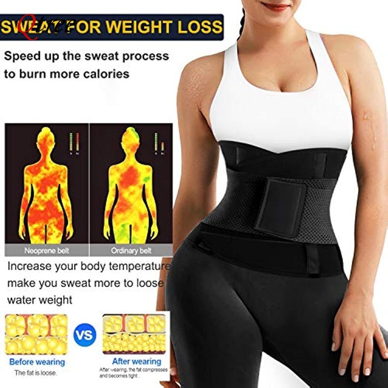Qtree-Cinturón de entrenamient - Sweat Waist Trainer Belt Neoprene reseña y precio