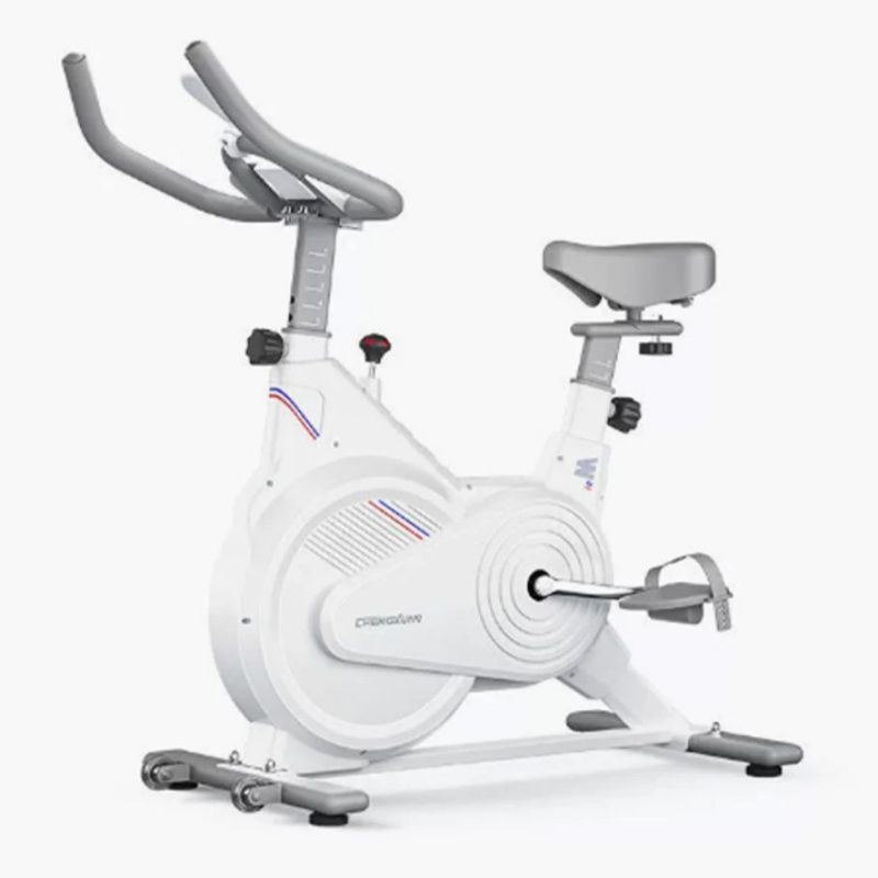 Bicicleta Estática de Spinning - Exercise Bike Magnetic Resistance reseña y precio