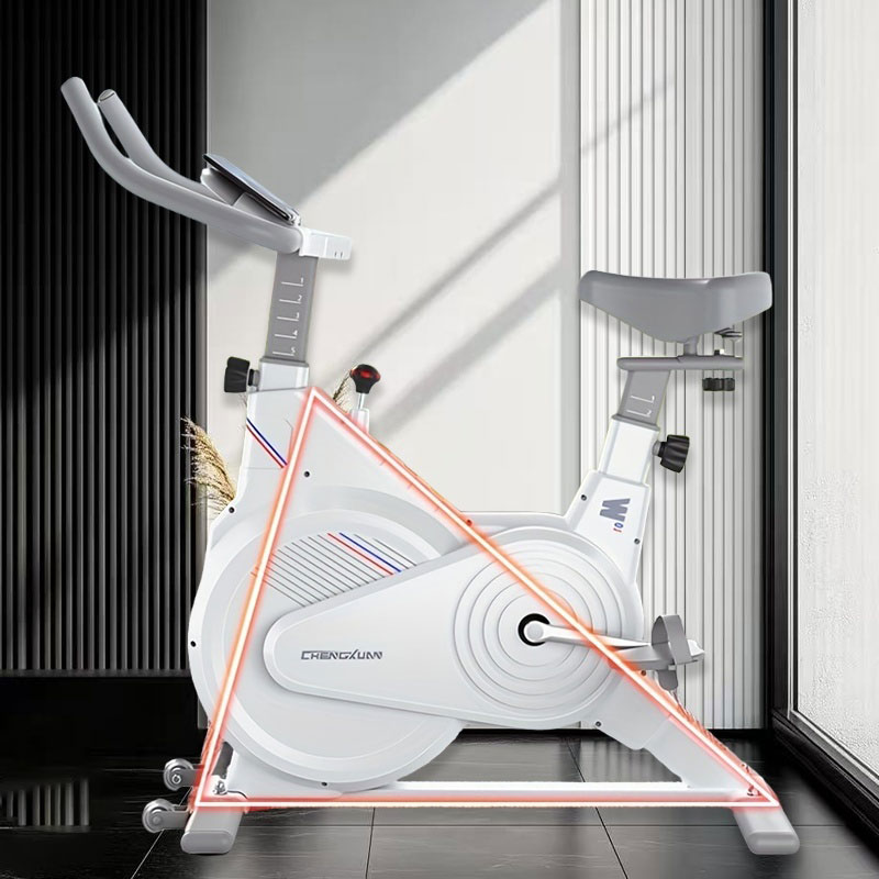Bicicleta Estática de Spinning - Exercise Bike Magnetic Resistance reseña y precio