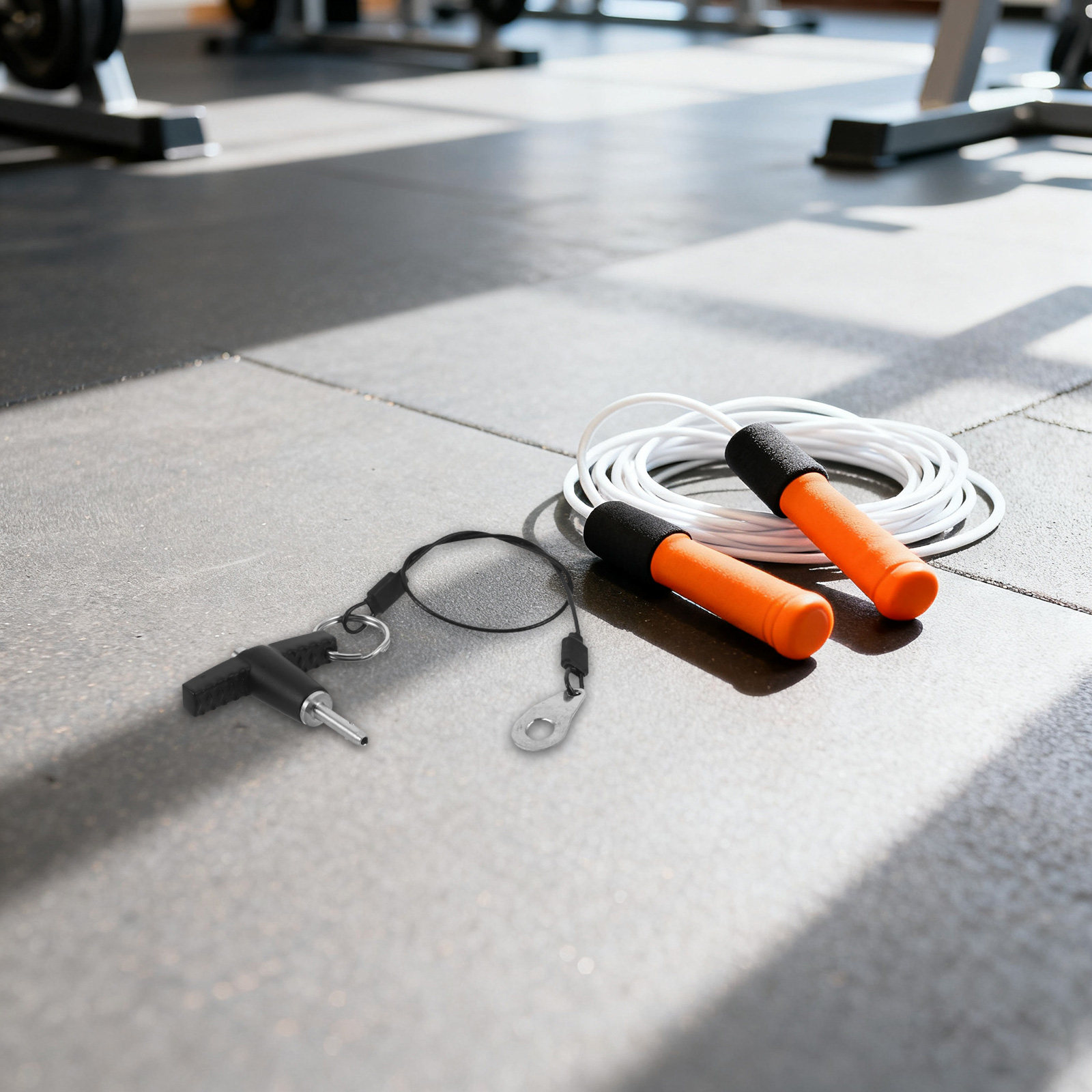 Pasadores de Gimnasio para Pil - Fitness Equipment reseña y precio